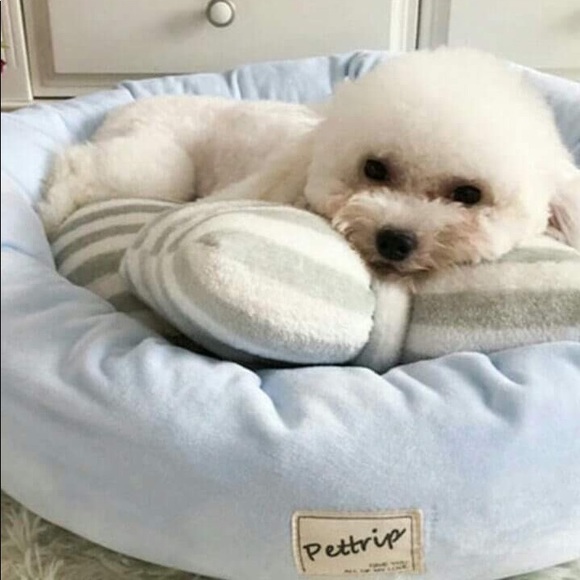 Brand New Dog Bed - Picture 1 of 3